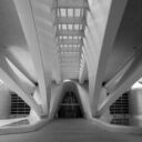 Under the bridge at the Arts Palace, City of Arts and Sciences, Valencia