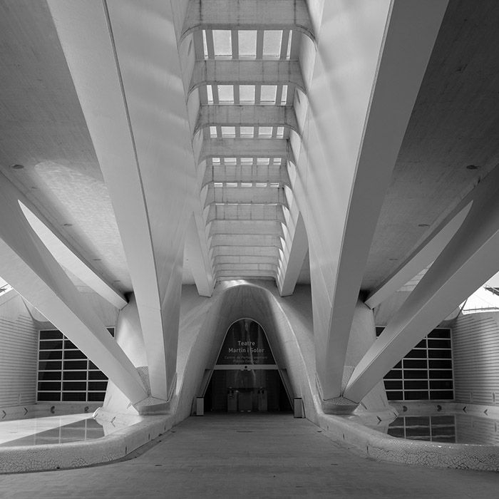 Under the bridge at the Arts Palace, City of Arts and Sciences, Valencia